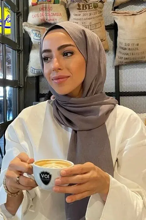 Silky Jacquard Hijab Bordure Pattern - Mink - 1